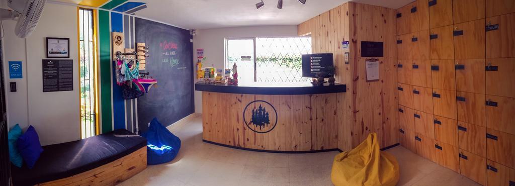 Blackpine Hostel 메딜린 외부 사진