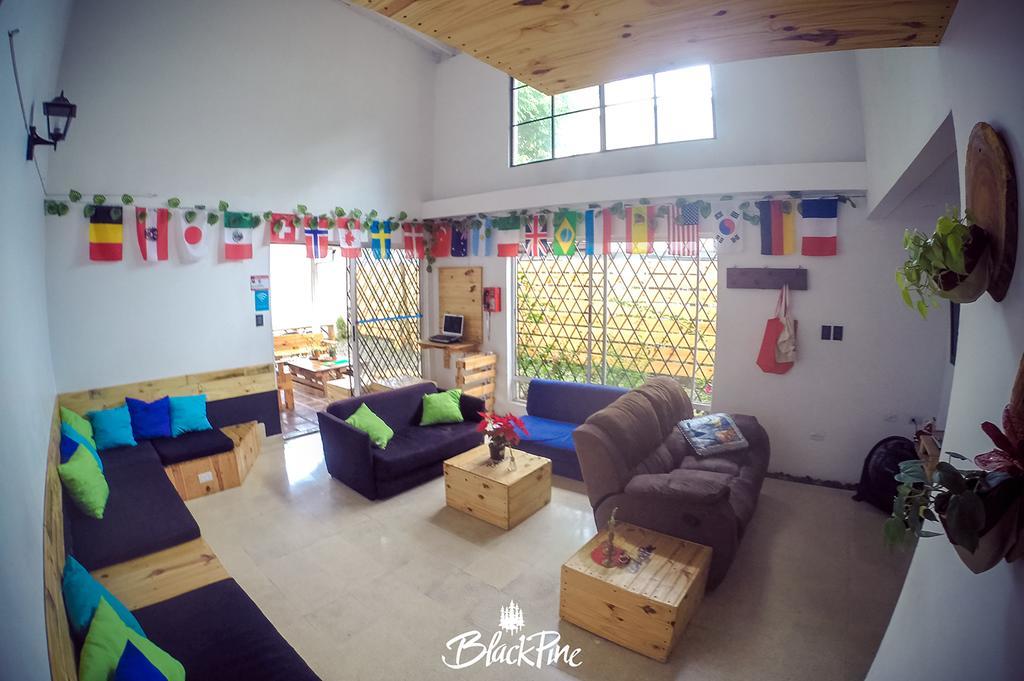 Blackpine Hostel 메딜린 외부 사진