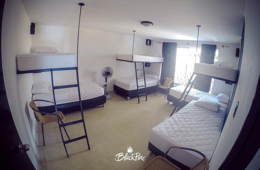 Blackpine Hostel 메딜린 외부 사진