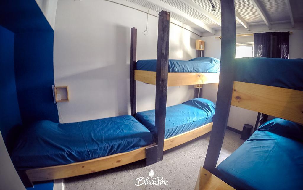 Blackpine Hostel 메딜린 외부 사진