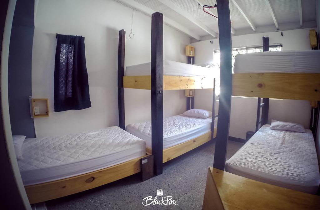 Blackpine Hostel 메딜린 외부 사진