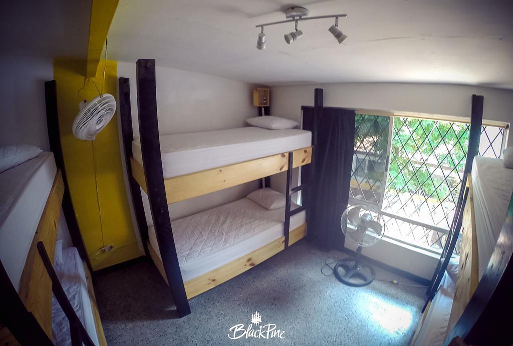 Blackpine Hostel 메딜린 외부 사진