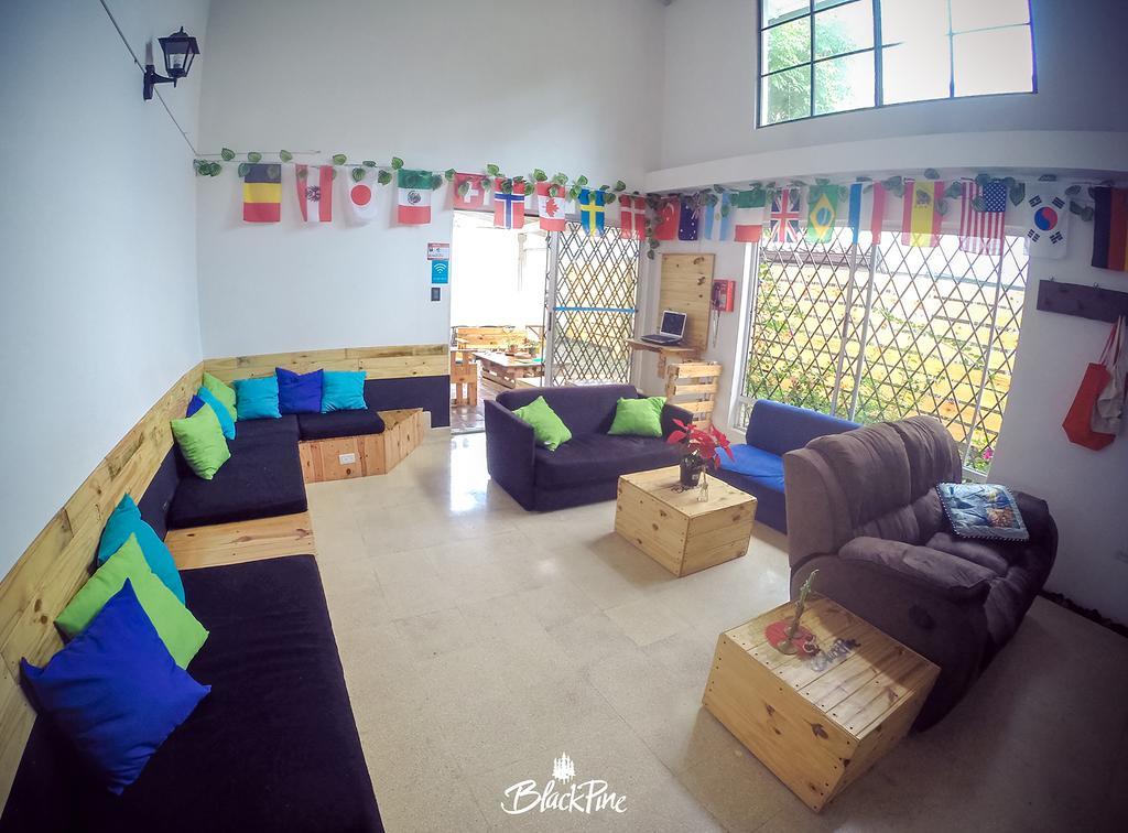 Blackpine Hostel 메딜린 외부 사진