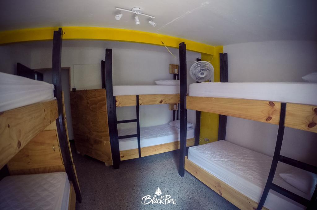 Blackpine Hostel 메딜린 외부 사진