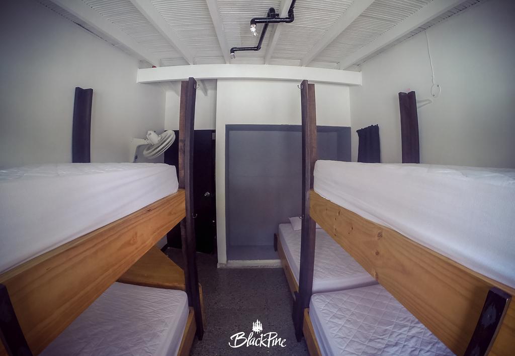 Blackpine Hostel 메딜린 외부 사진