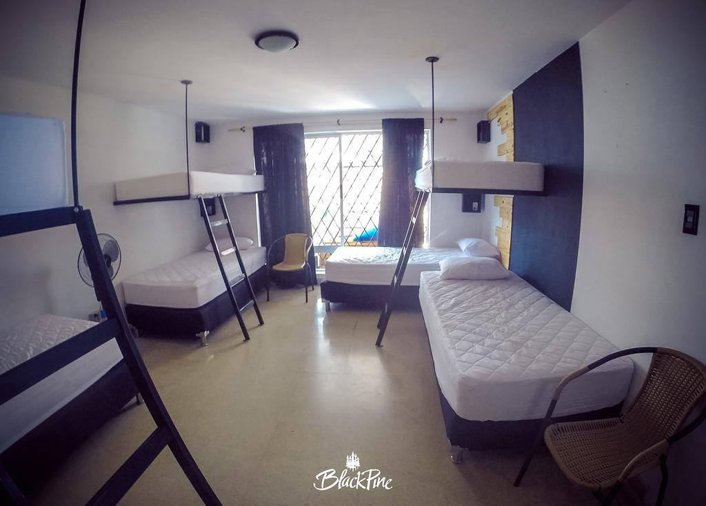 Blackpine Hostel 메딜린 외부 사진