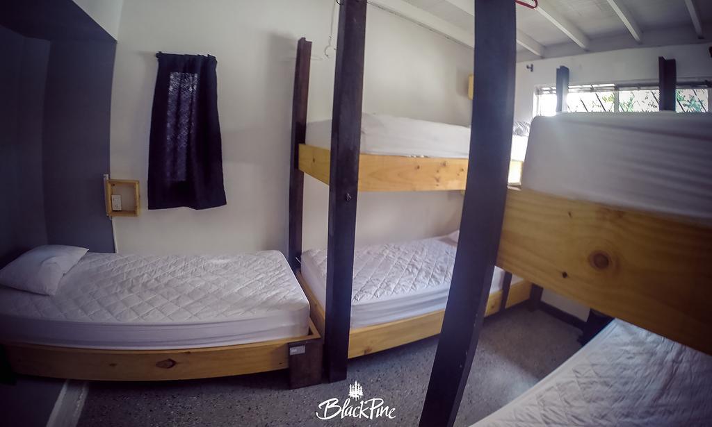 Blackpine Hostel 메딜린 외부 사진