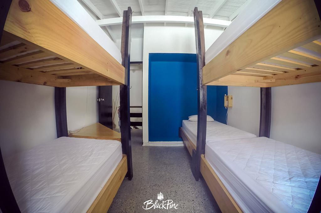 Blackpine Hostel 메딜린 외부 사진